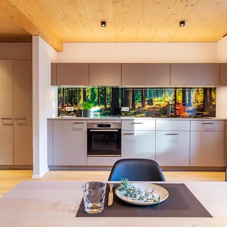 Xaver Apartement Baeren Elzach , Black Forest Апартаменты *
