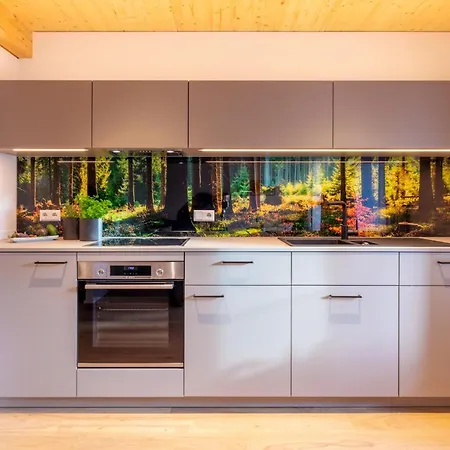 Xaver Apartement Baeren Elzach , Black Forest *