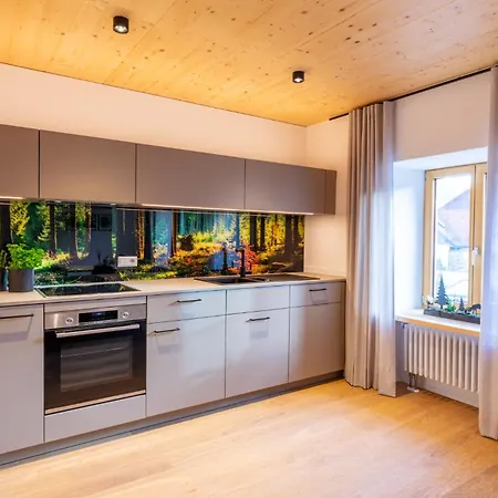 Xaver Apartement Baeren Elzach , Black Forest Апартаменты Эльцах