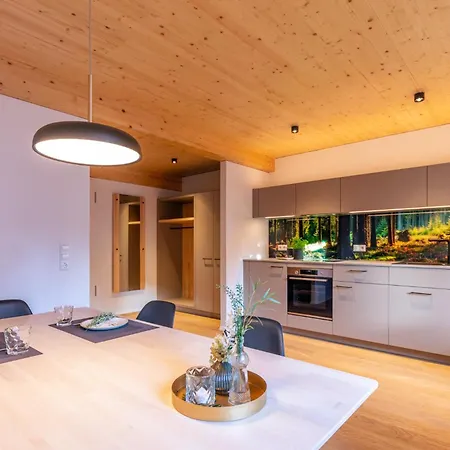 Xaver Apartement Baeren Elzach , Black Forest *